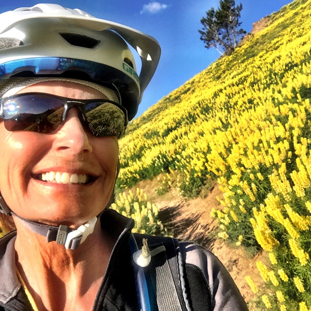 Meet your Posher, Deirdre